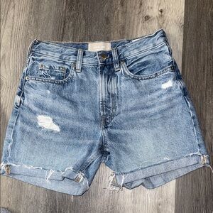 Everlane Denim Jean Shorts